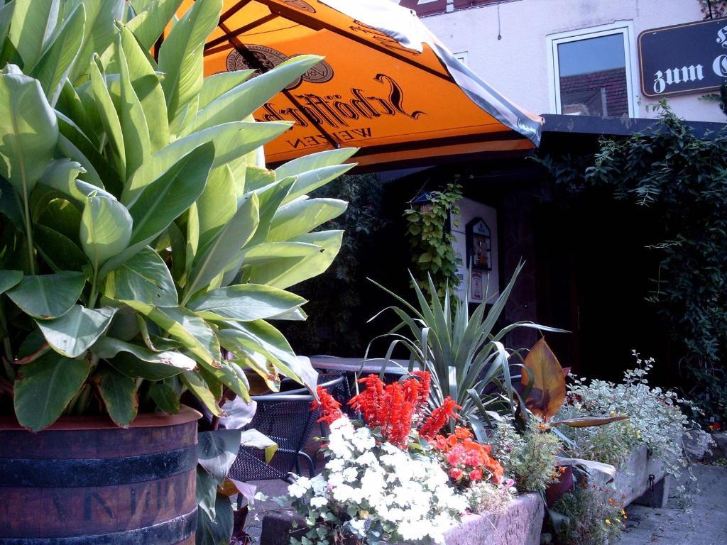 Hotel Fritz'Es Goldener Stern Schauenburg Zewnętrze zdjęcie